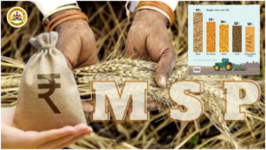 Maize MSP Maize purchase limit increased to 50 quintals at support price!