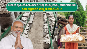 Mushroom Farming Scheme Get subsidy up to ₹30 lakh from the central and state governments for mushroom farming scheme...!