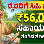 Coconut Farm Subsidy Scheme
