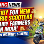 Government Subsidy for Buying New Electric Scooters