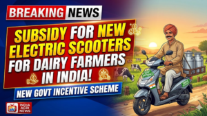 Government Subsidy for Buying New Electric Scooters