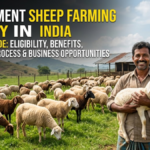 Sheep Farming Subsidy in India