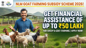 NLM Goat Farming Subsidy Scheme 2026!