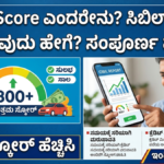 CIBIL Score